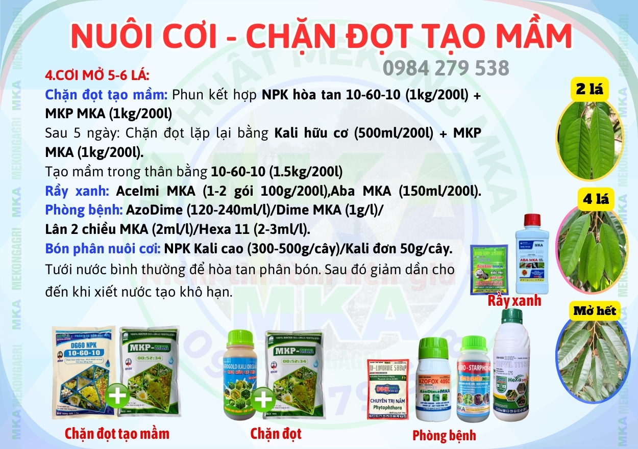 Chặn đọt tạo mầm mấy lần thì cây sẽ ra hoa